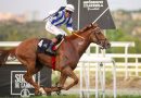 El verano comienza en el hipódromo con el inicio de las noches y el Gran Premio Claudio Carudel
