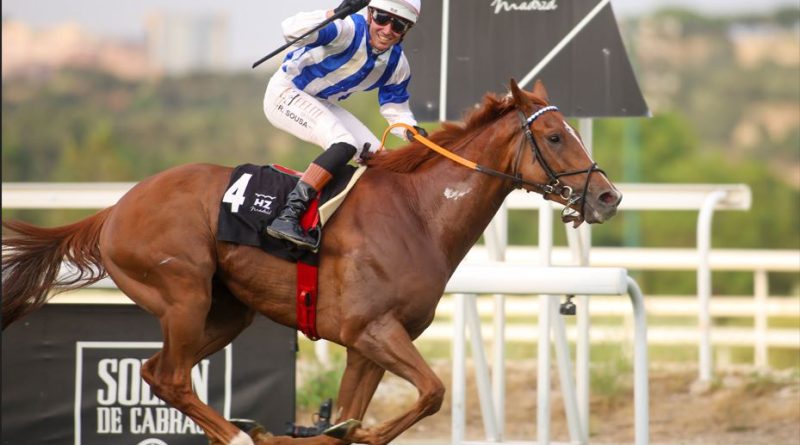 El verano comienza en el hipódromo con el inicio de las noches y el Gran Premio Claudio Carudel El verano comienza en el hipódromo con el inicio de las noches y el Gran Premio Claudio Carudel