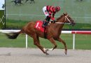 REZASROLEX vuelve a la senda del triunfo en la carrera principal del viernes en Gulfstream