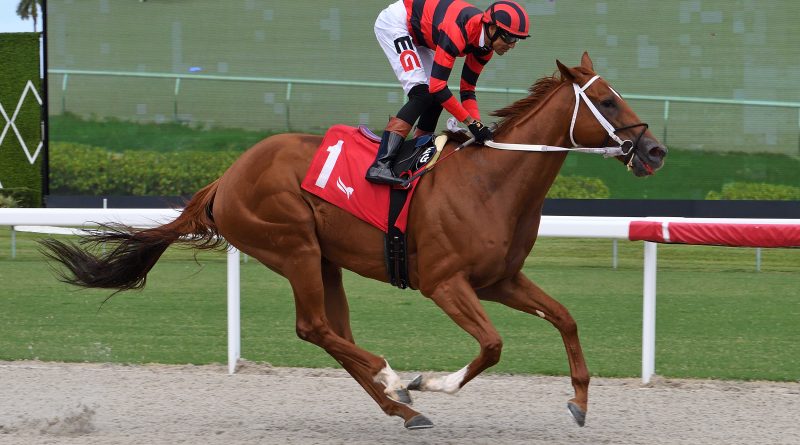 REZASROLEX vuelve a la senda del triunfo en la carrera principal del viernes en Gulfstream
