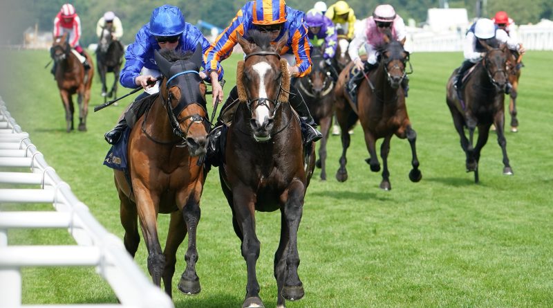 SCANDINAVIA en gran final corona al Rey Aidan C de Royal Ascot