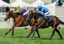 VENETIAN SUN en cerrado final gana la Commonwealth Cup