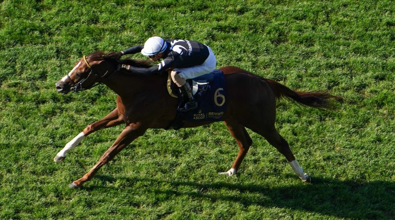 BACIO y J.J. Hernández ganan fácil el Palace Of Holyroodhouse en Royal Ascot con susto incluido