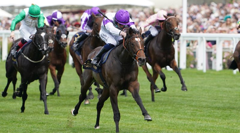 ORTODOXO brilla en el Norfolk Stakes y gana una plaza en las Breeders´ Cup