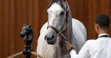 Hija de JUSTIFY se vende por 1,4 millones de dólares y establece un récord en las Ventas de junio de OBS