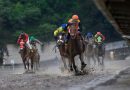 Les truncan el sueño, sin triple coronado en Las Américas