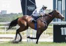 MADRID impone su velocidad en el Gran Premio Jockey Club Español y Arrizkorreta firma la Superfecta