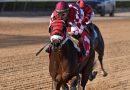 WINPLACEANDSHOW pone a prueba su racha en el Azalea Stakes de 100.000 dólares