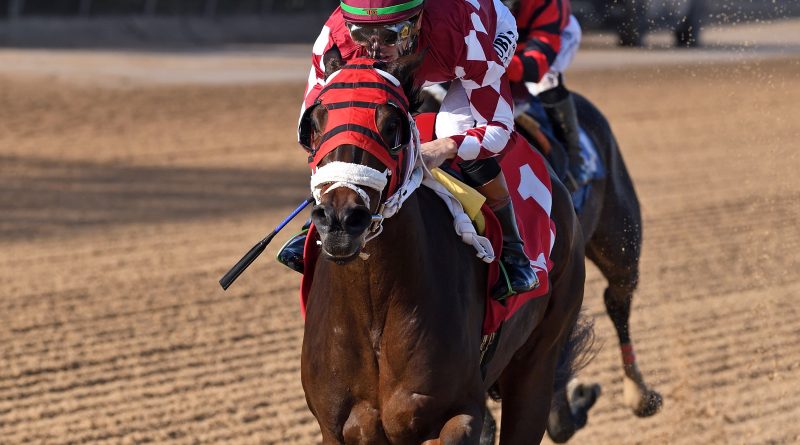 WINPLACEANDSHOW pone a prueba su racha en el Azalea Stakes de 100.000 dólares