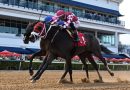 WINPLACEANDSHOW triunfa con determinación en el Azalea Stakes WINPLACEANDSHOW triunfa con determinación en el Azalea Stakes