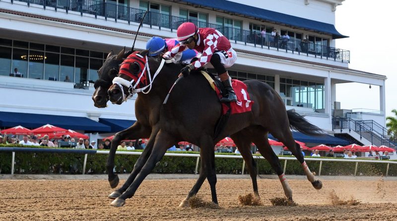 WINPLACEANDSHOW triunfa con determinación en el Azalea Stakes