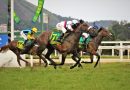 ZUCCA BABY gana en reñido final el Gran Premio Brasil (G1)