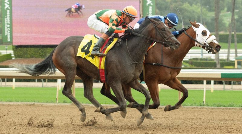 BANK SHOT, MARJORAM y la prometedora MIZUMI encabezan las Summertime Oaks