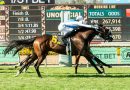 DARYA supera por poco a su compañera INBOX en el Honeymoon Stakes