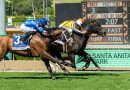 13 inscritos en el Daytona Stakes del Sábado en Santa Anita