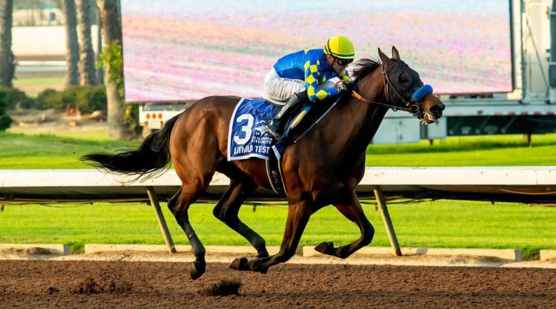 LITMUS TEST con Jaramillo se suma al reprogramado Affirmed Stakes