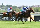 MAJESTAD se mantiene invicto y logra el doblete Poule – Derby
