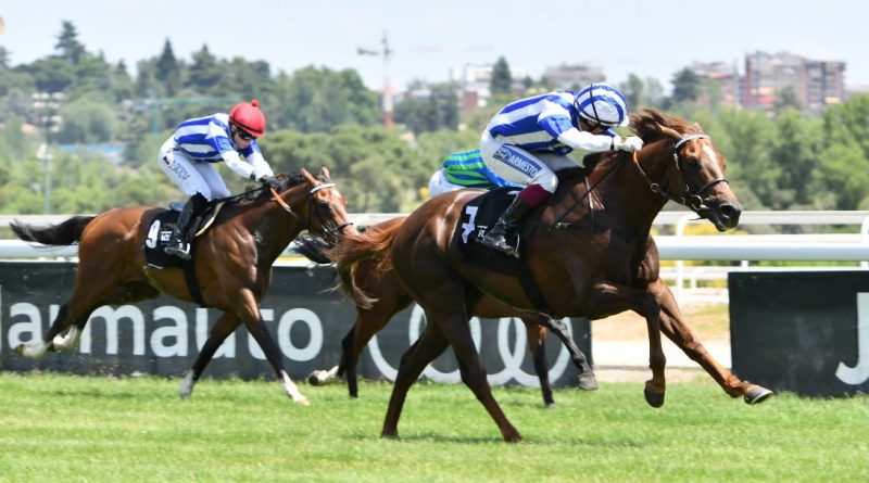 MAJESTAD se mantiene invicto y logra el doblete Poule – Derby
