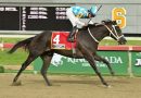 PONTEVECCHIO galopa en la apertura de la Triple Corona venezolana