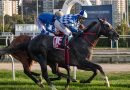 TEAO reaparece en Santa Anita rumbo a la Japan Cup TEAO reaparece en Santa Anita rumbo a la Japan Cup