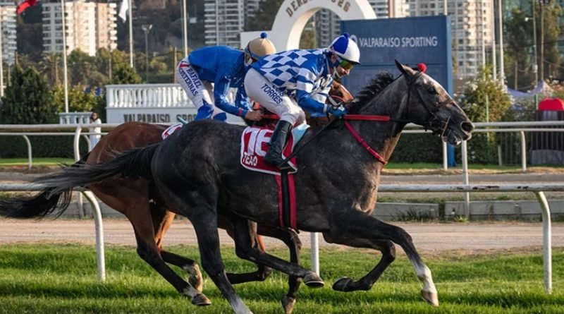 TEAO reaparece en Santa Anita rumbo a la Japan Cup TEAO reaparece en Santa Anita rumbo a la Japan Cup