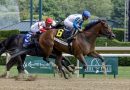 BOOK´EM DANNO repite en el True North Stakes