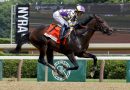 ENGLISHMAN galopa el Woody Stephens Stakes