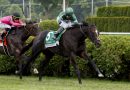 DETERMINISTIC repite en el Manhattan Stakes