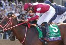 FOREVER YOUNG rumbo a la Breeders´Cup vía Nueva York