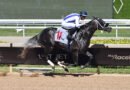 AZAM listo para reaparecer hoy en Gulfstream