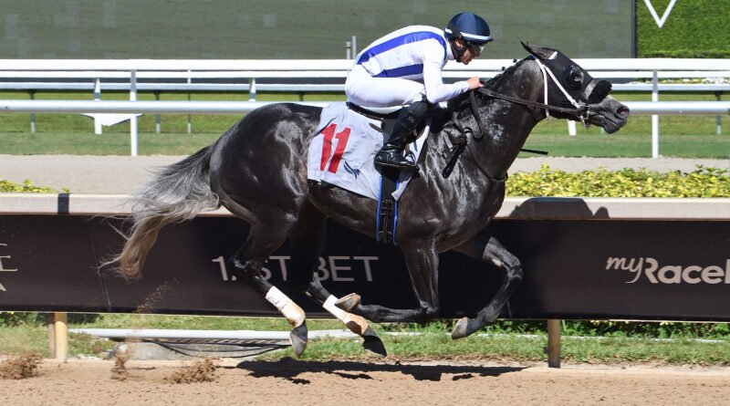 AZAM listo para reaparecer hoy en Gulfstream