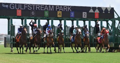 Gran interés por las carreras del lunes en Gulfstream Gran interés por las carreras del lunes en Gulfstream