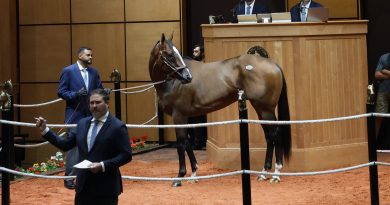 FASIG-TIPTON: Hijo de Vekoma encabeza la Venta de Yearlings de julio y Our Moneyman la de ejemplares en edad de correr