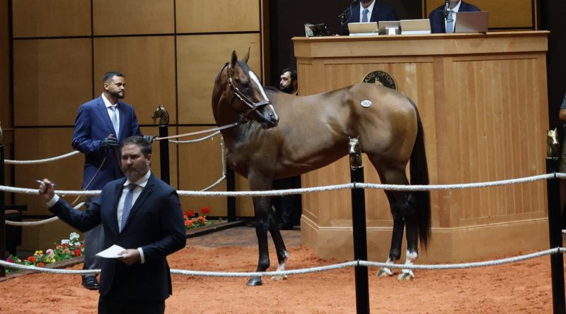 FASIG-TIPTON: Hijo de Vekoma encabeza la Venta de Yearlings de julio y Our Moneyman la de ejemplares en edad de correr