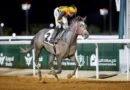 Los aspirantes al Taif Arabian Derby protagonizan la jornada del sábado