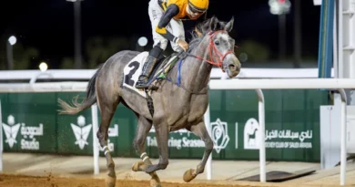Los aspirantes al Taif Arabian Derby protagonizan la jornada del sábado