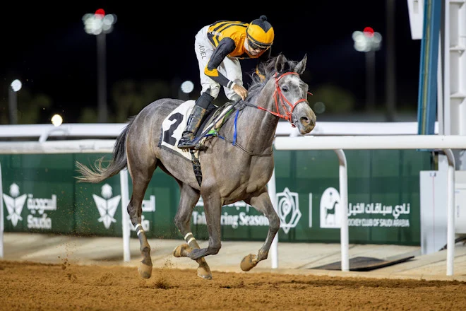 Los aspirantes al Taif Arabian Derby protagonizan la jornada del sábado