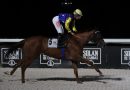 El verano galopa en el Hipódromo de la Zarzuela