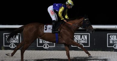 EL VERANO GALOPA EN EL HIPÓDROMO DE LA ZARZUELA