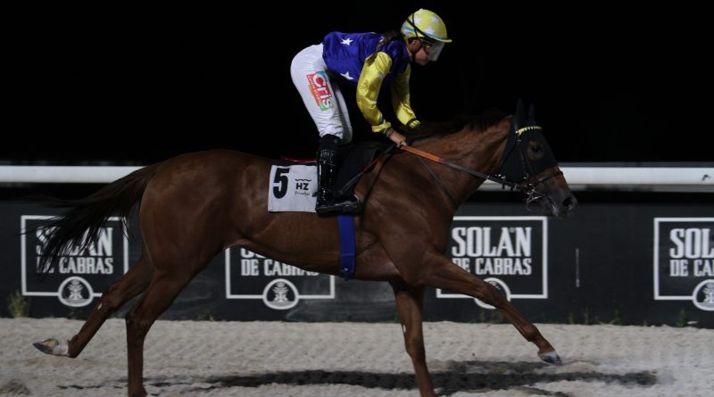 EL VERANO GALOPA EN EL HIPÓDROMO DE LA ZARZUELA