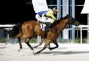 NOISY NIGHT, THUNDERING y WESTERN RULER fueron los ganadores en La Zarzuela