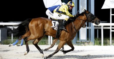 NOISY NIGHT, THUNDERING y WESTERN RULER fueron los ganadores en La Zarzuela