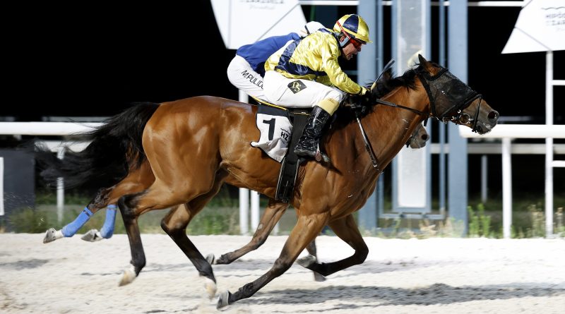 NOISY NIGHT, THUNDERING y WESTERN RULER fueron los ganadores en La Zarzuela