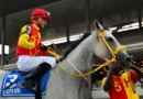CASTA DIVA logra su octava victoria clásica CASTA DIVA logra su octava victoria clásica