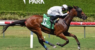 LAYABOUT, ganador de Grado 3, reaparece en el Soldier’s Dancer