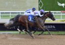 MOONSTROCITY supera a la favorita AZAM en la carrera principal del domingo MOONSTROCITY supera a la favorita AZAM en la carrera principal del domingo