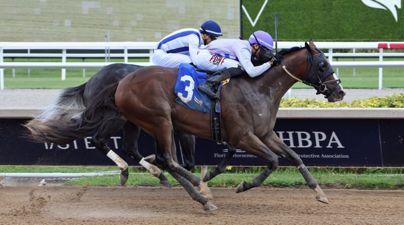MOONSTROCITY supera a la favorita AZAM en la carrera principal del domingo MOONSTROCITY supera a la favorita AZAM en la carrera principal del domingo