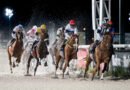 EL GRAN PREMIO NOCHES DEL HIPÓDROMO PROTAGONIZA EL FIN DE SEMANA EL GRAN PREMIO NOCHES DEL HIPÓDROMO PROTAGONIZA EL FIN DE SEMANA