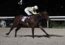SCHOLARSHIP CONQUISTA EL GRAN PREMIO NOCHES DEL HIPÓDROMO EN UNA GRAN NOCHE DE VERANO