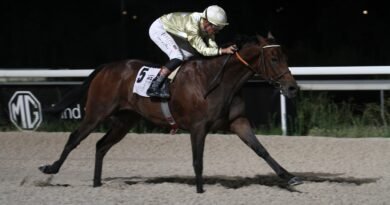 SCHOLARSHIP CONQUISTA EL GRAN PREMIO NOCHES DEL HIPÓDROMO EN UNA GRAN NOCHE DE VERANO SCHOLARSHIP CONQUISTA EL GRAN PREMIO NOCHES DEL HIPÓDROMO EN UNA GRAN NOCHE DE VERANO